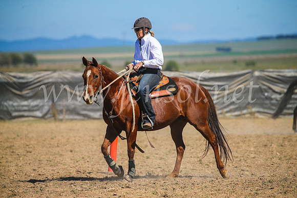 GoulburnCampdraft2017_3387