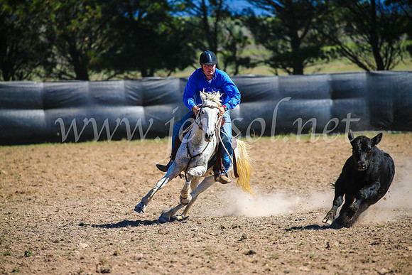 GoulburnCampdraft2017_3306