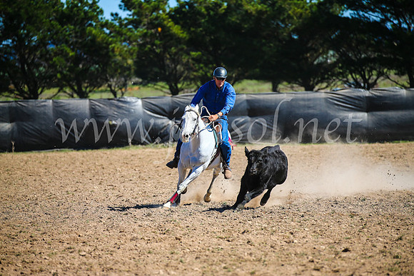 GoulburnCampdraft2017_3434