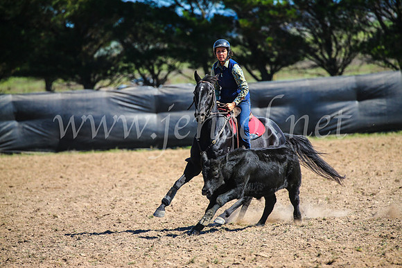 GoulburnCampdraft2017_3334