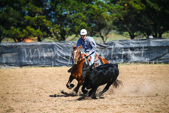 GoulburnCampdraft2017_2698