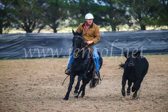 GoulburnCampdraft2017_0306
