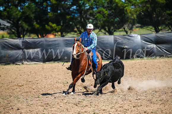 GoulburnCampdraft2017_3194