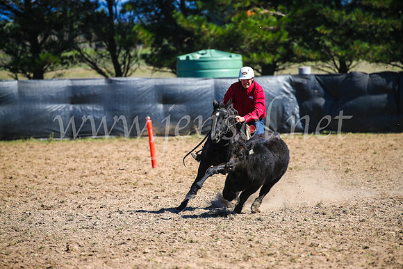 GoulburnCampdraft2017_3113