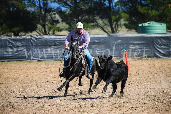 GoulburnCampdraft2017_2902