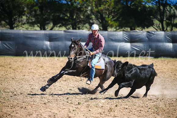 GoulburnCampdraft2017_3156