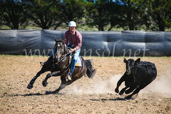 GoulburnCampdraft2017_3160