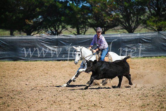 GoulburnCampdraft2017_2983