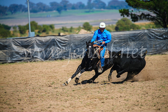 GoulburnCampdraft2017_2596