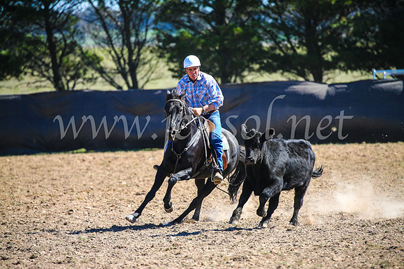 GoulburnCampdraft2017_3448