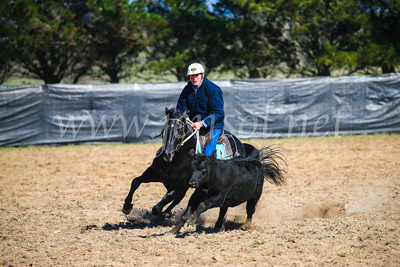 GoulburnCampdraft2017_2660