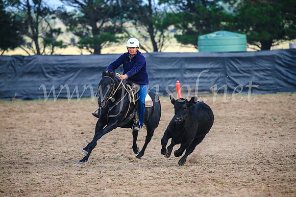 GoulburnCampdraft2017_0319