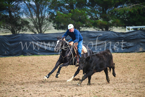 GoulburnCampdraft2017_0351