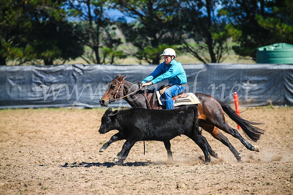 GoulburnCampdraft2017_2918