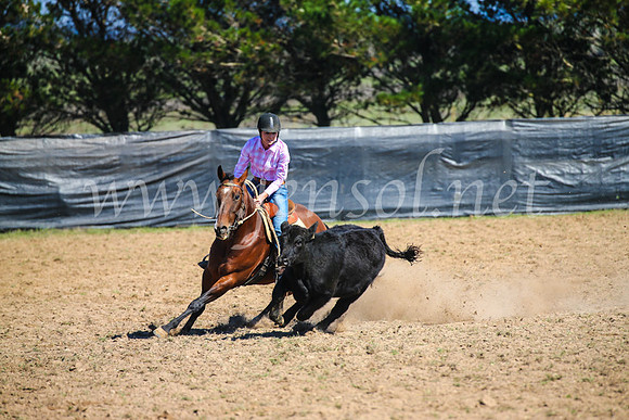 GoulburnCampdraft2017_2845