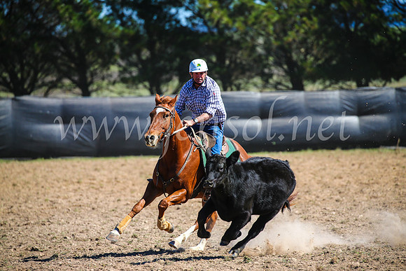 GoulburnCampdraft2017_3324