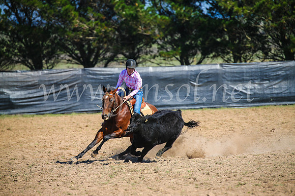 GoulburnCampdraft2017_2841