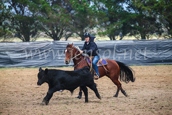 GoulburnCampdraft2017_0288