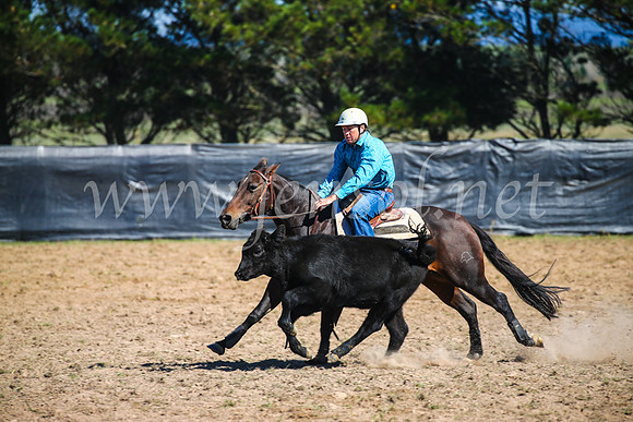 GoulburnCampdraft2017_2922