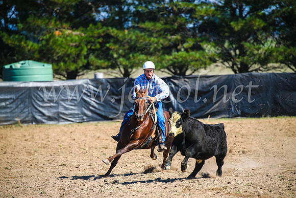 GoulburnCampdraft2017_2740