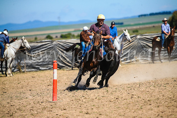 GoulburnCampdraft2017_3296