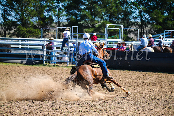 GoulburnCampdraft2017_3065