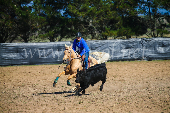 GoulburnCampdraft2017_2615