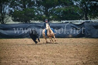 GoulburnCampdraft2017_0108