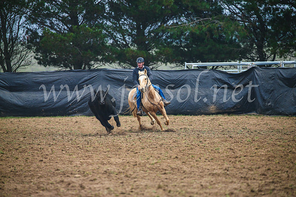GoulburnCampdraft2017_0108