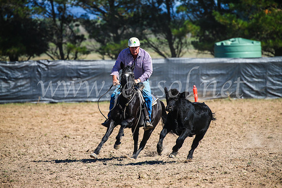 GoulburnCampdraft2017_2901
