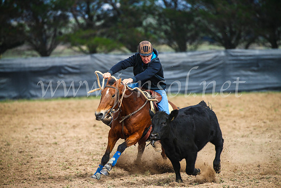 GoulburnCampdraft2017_0367