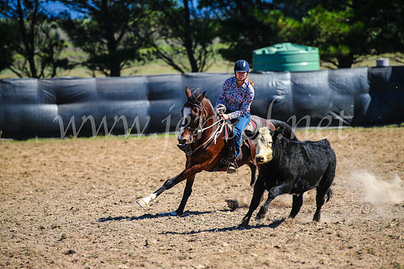 GoulburnCampdraft2017_3317
