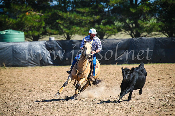 GoulburnCampdraft2017_3030