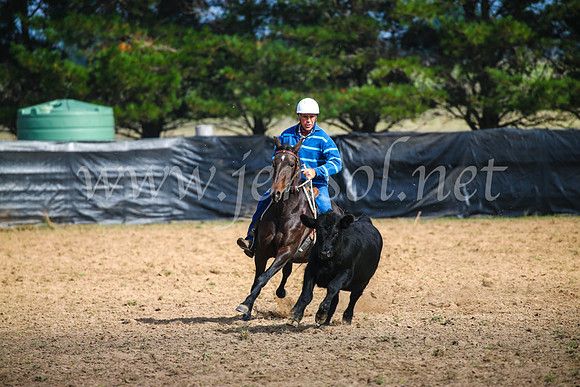 GoulburnCampdraft2017_2420