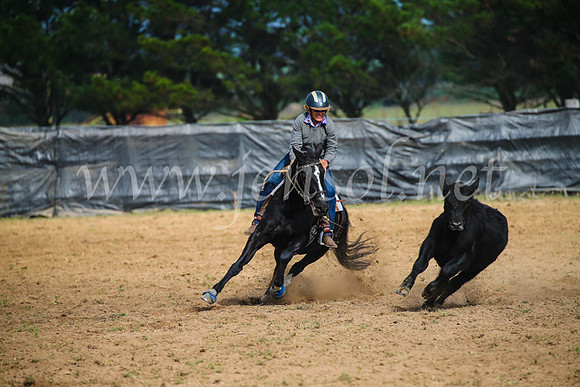 GoulburnCampdraft2017_2407