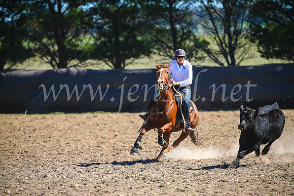 GoulburnCampdraft2017_3373