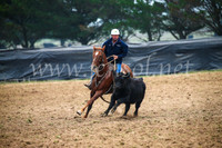GoulburnCampdraft2017_0207