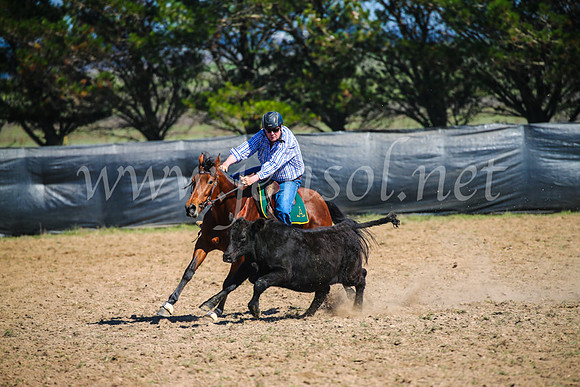 GoulburnCampdraft2017_2955