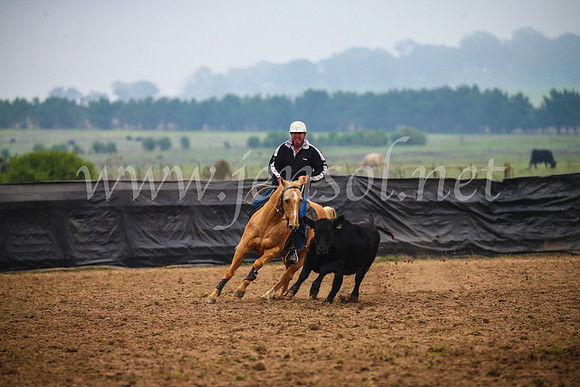 GoulburnCampdraft2017_0267