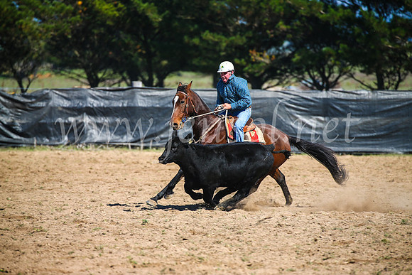 GoulburnCampdraft2017_2830