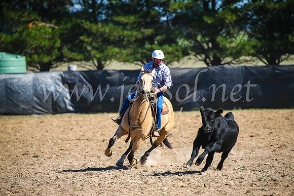 GoulburnCampdraft2017_3031