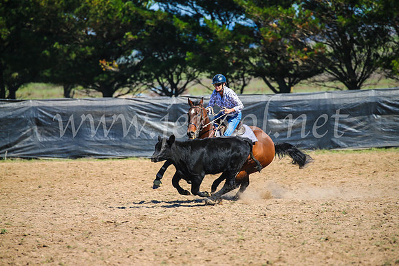 GoulburnCampdraft2017_3002
