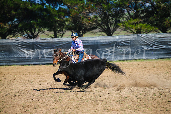 GoulburnCampdraft2017_2751