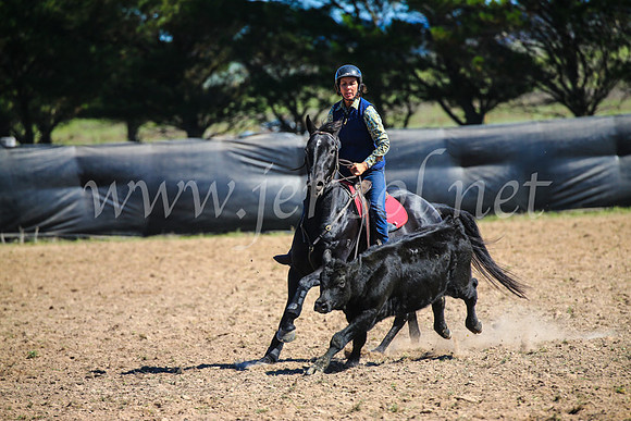 GoulburnCampdraft2017_3331