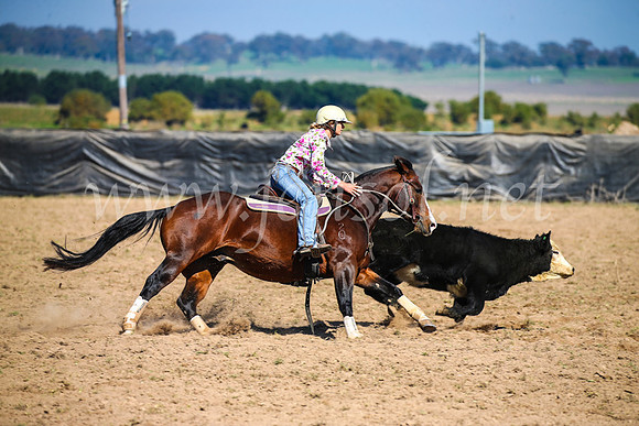 GoulburnCampdraft2017_2800