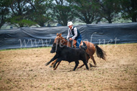 GoulburnCampdraft2017_0189