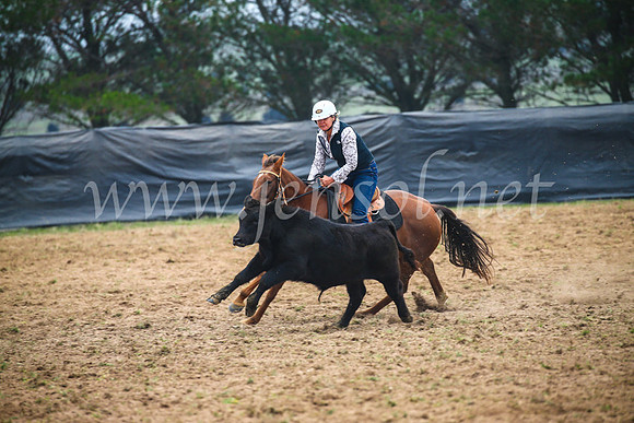 GoulburnCampdraft2017_0189