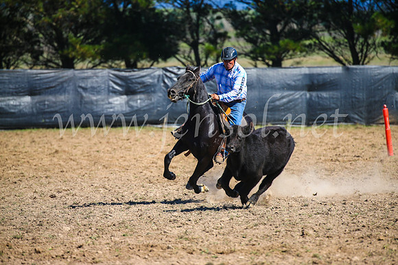 GoulburnCampdraft2017_3056