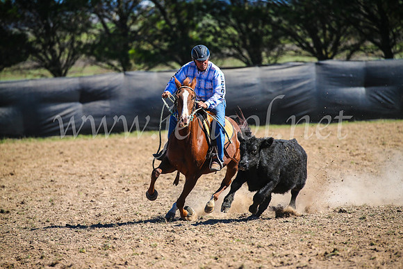 GoulburnCampdraft2017_3467