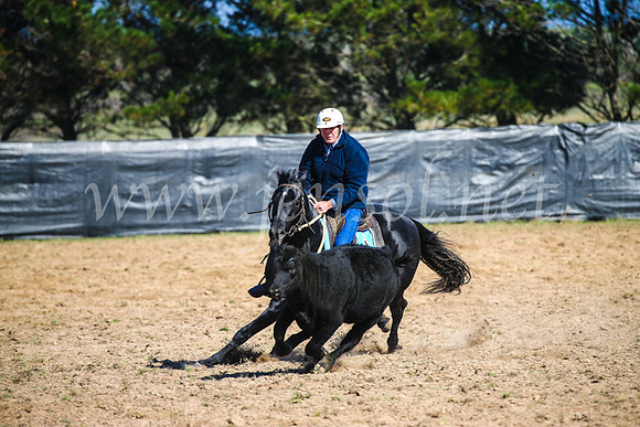 GoulburnCampdraft2017_2657